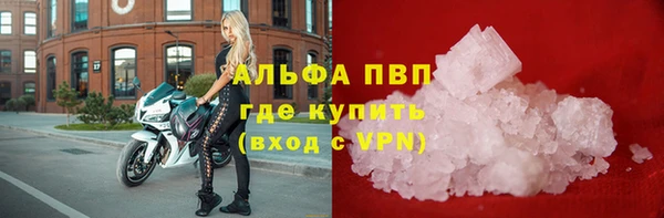 спиды Михайловск