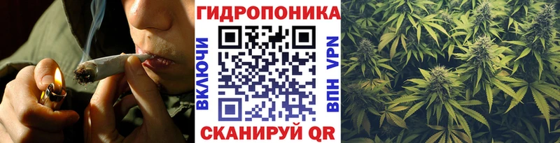 Бошки марихуана марихуана  Купить закладки  Алушта 